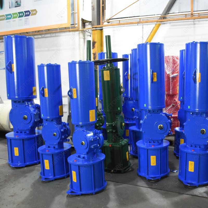 Pneumatic Actuator