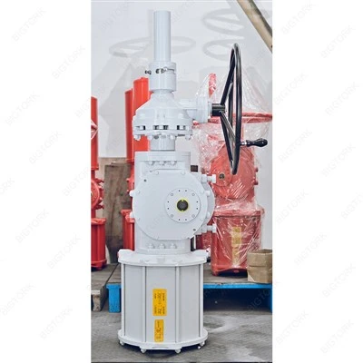 Double Acting Actuator