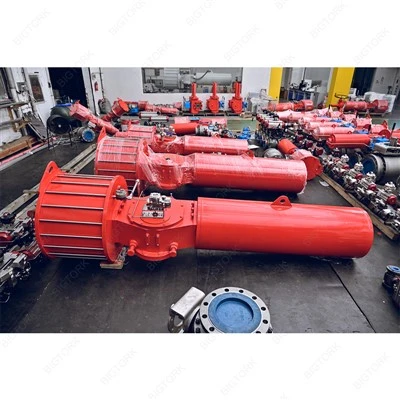 Heavy Duty Rotary Actuator