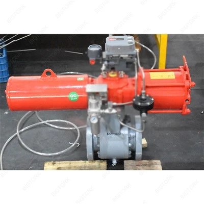 Single Acting Hydraulic Actuator